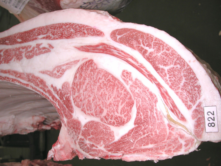 令和7年度神戸牛枝肉共励会