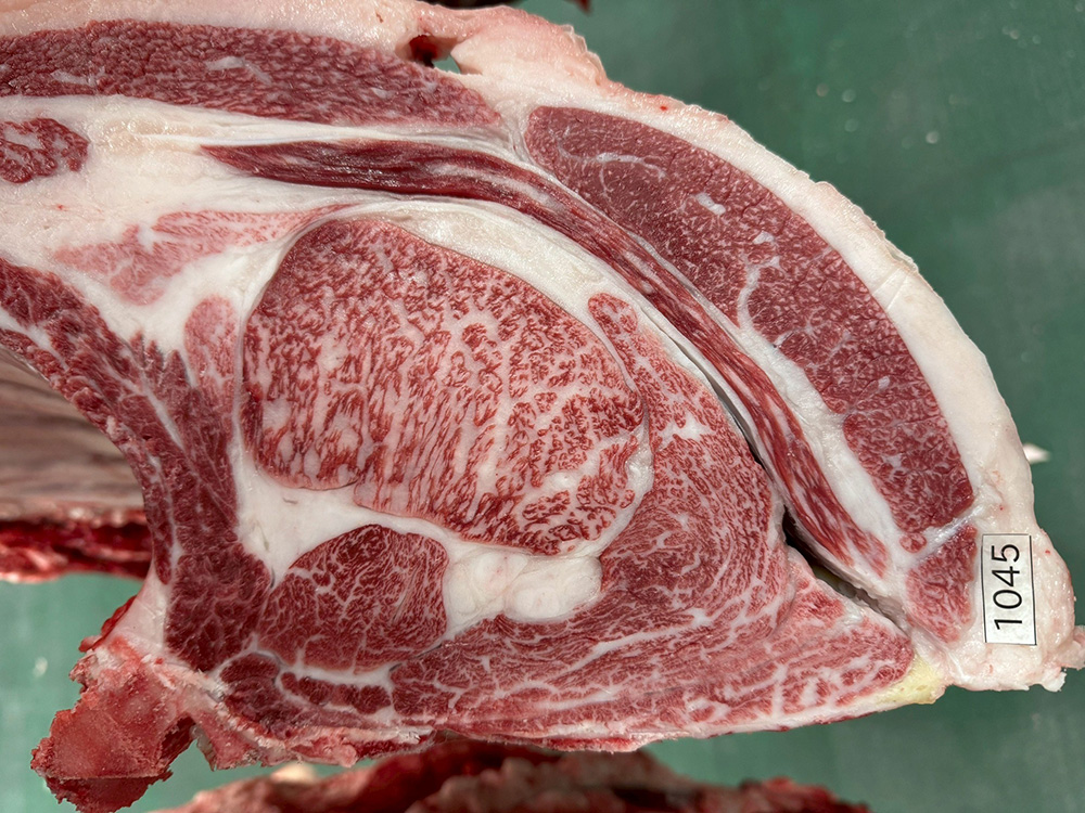 令和7年度 但馬牛の日 最優秀賞