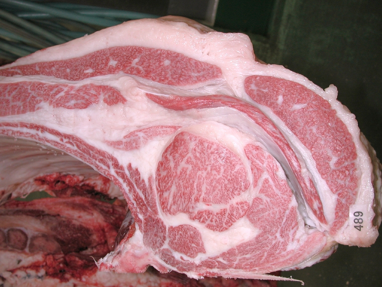 第379回神戸ビーフ共励会