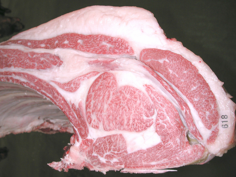 第13回神戸ビーフ「雌」共励会