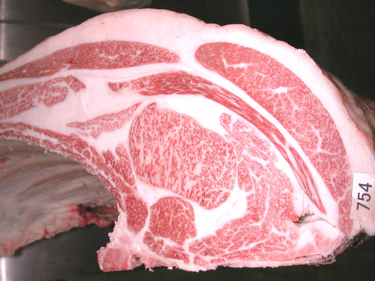 第123回つがまつ会神戸ビーフ共励会