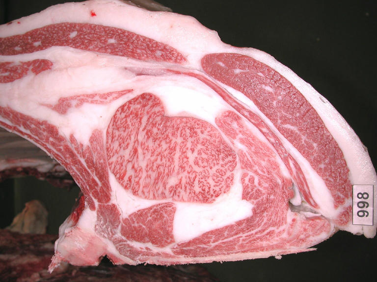 第249回神戸肉枝肉共励会