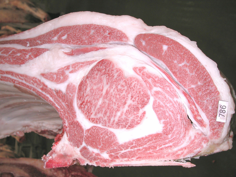 開設60周年記念THE KOBE BEEF FESTA 2025