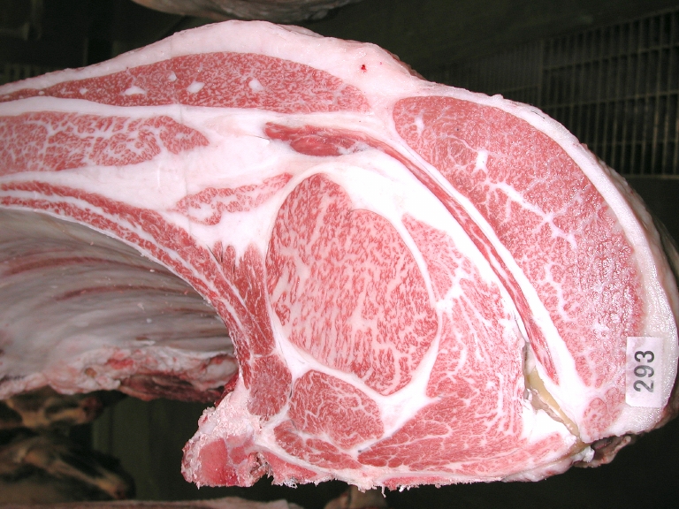 第384回神戸ビーフ共励会