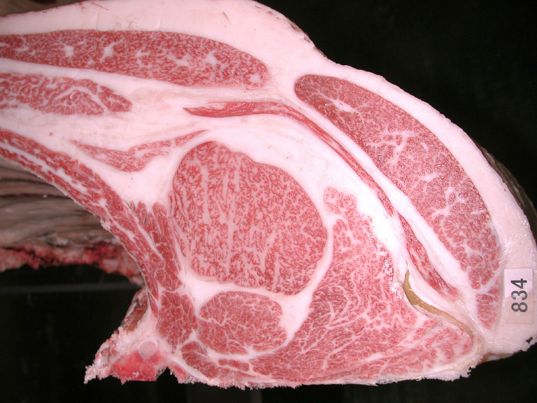 つがまつ会神戸ビーフ共励会