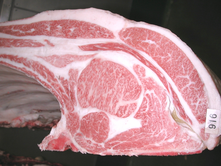 第385回神戸ビーフ共励会