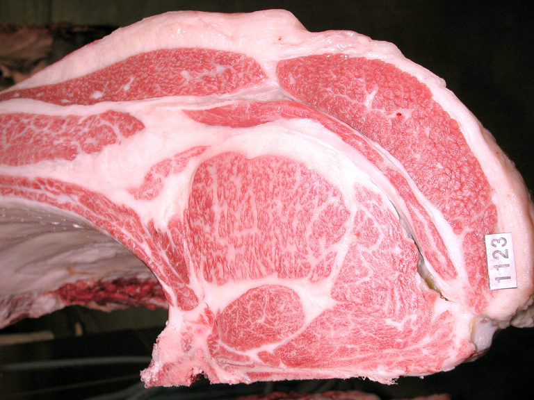 令和7年度(第250回)神戸肉枝肉共励会